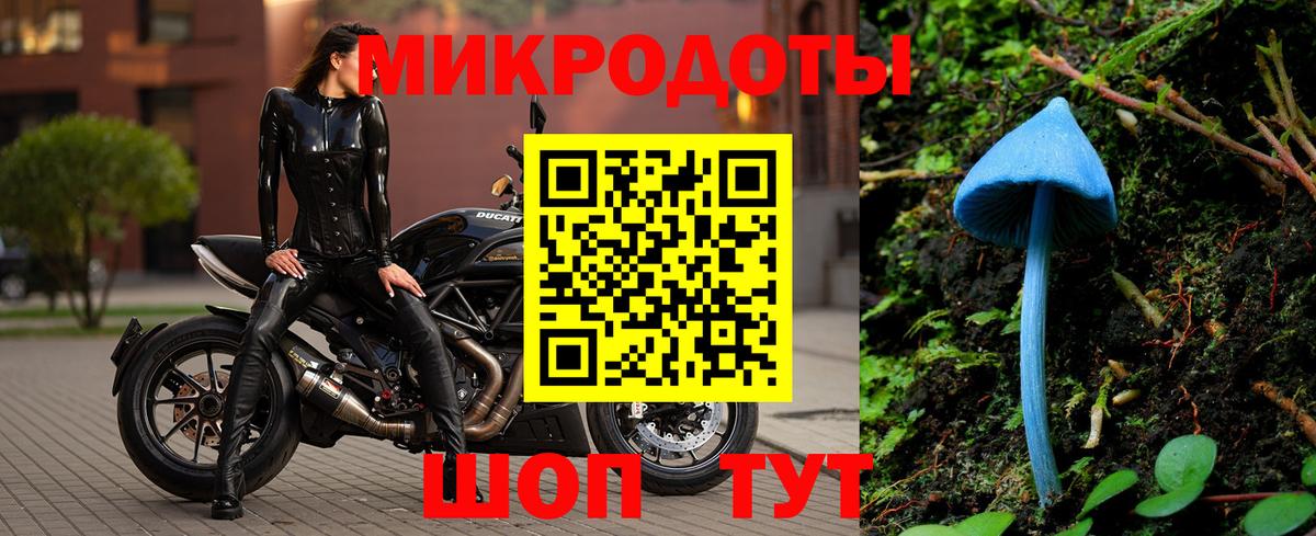 Псилоцибиновые грибы GOLDEN TEACHER Кашира