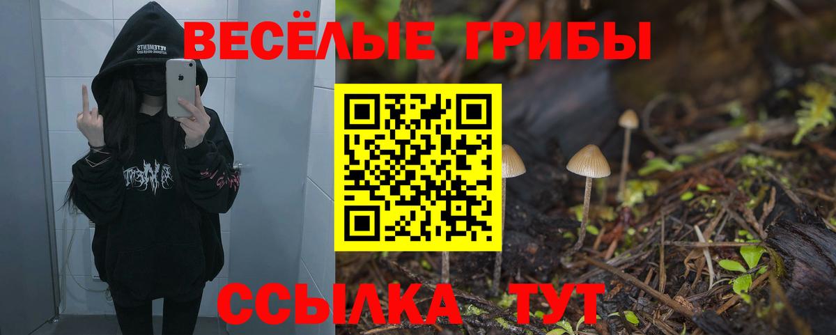 Псилоцибиновые грибы Psilocybe  Псилоцибиновые грибы Psilocybe  Вход с VPN  Кашира 